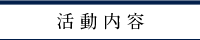 活動内容